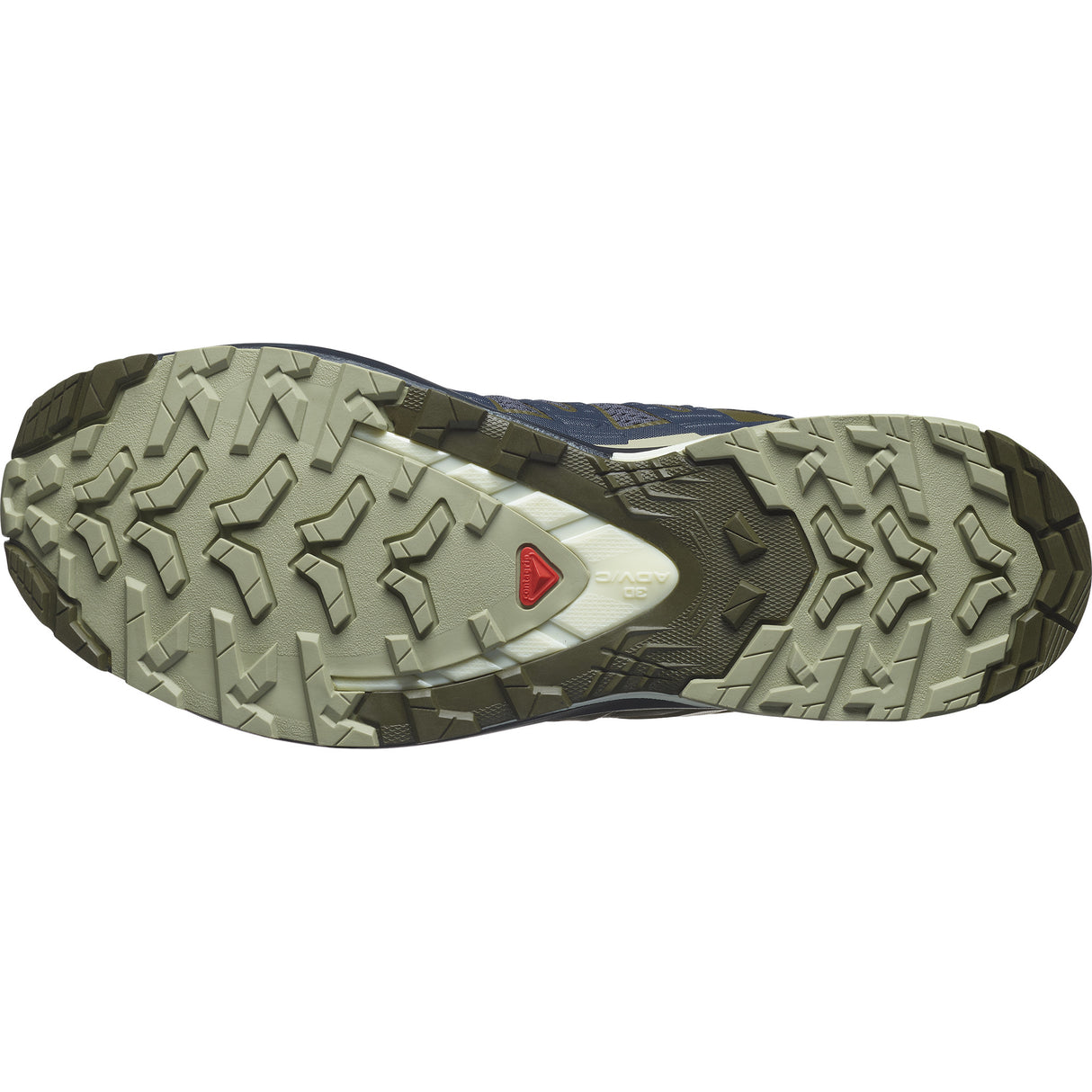 Salomon Men's XA Pro 3D V9 - India Ink/Olive Night/Aloe Wash