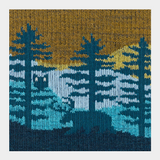 Darn Tough Women's Northwoods Micro Crew Midweight Hiking Socks - Dark Teal